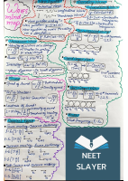 Waves Mindmap.pdf